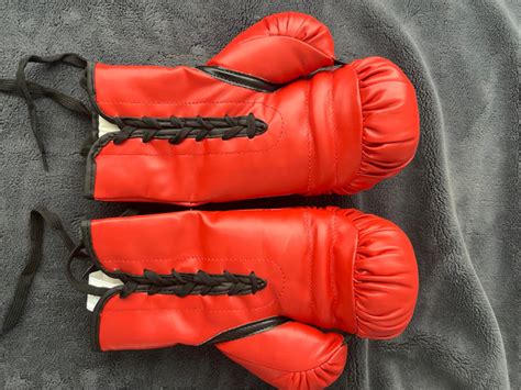 Everlast Lace Up Boxing Gloves Exercise Equipment City Of Toronto Kijiji