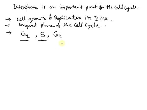 SOLVED: Explain why the S-phase in interphase is so important to mitosis. (HINT: Think of what ...