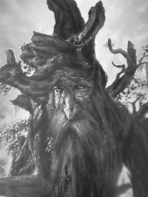 Ent Lord Of The Rings Lotr The Hobbit Fantasy World