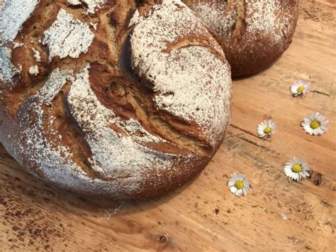 Mein Erstes Brot Hausbrot Backen Mit Christina Rezept Brot