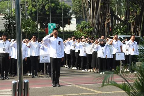 SEGERA DIBUKA Berikut Tahapan Dan Syarat Berkas Seleksi CPNS 2024