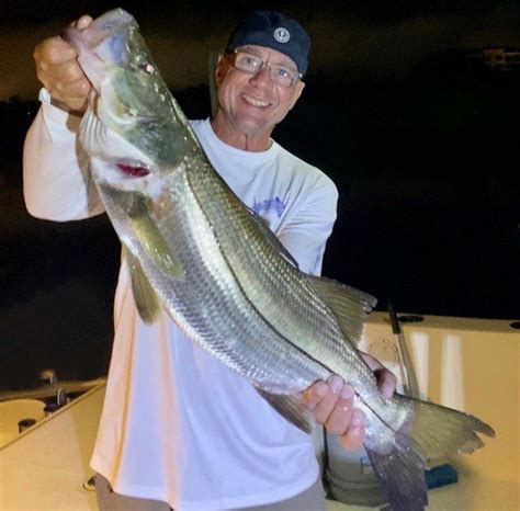 Fishing Snook Lights Shelly Lighting