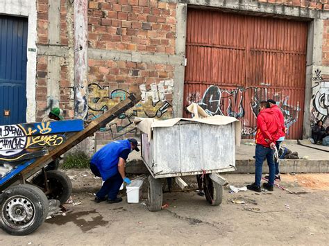 Infestación De Ratas En Bogotá Esto Es Lo Que Está Haciendo La