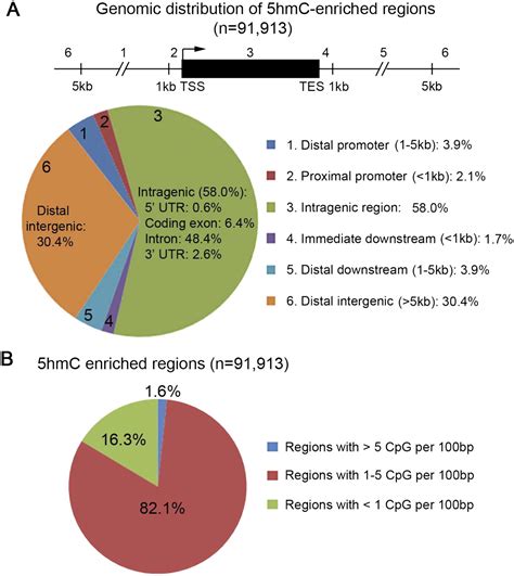 Genome Wide Analysis Of 5 Hydroxymethylcytosine Distribution Reveals