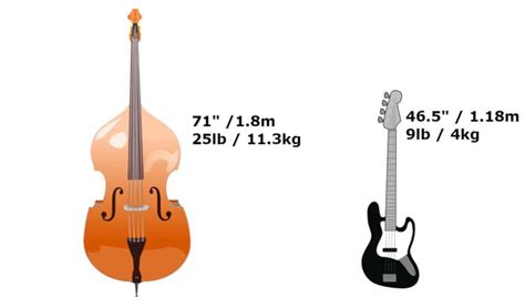 Double Bass Vs Bass Guitar Every Difference Explained Bassox