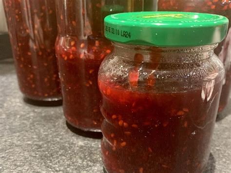 Brombeermarmelade Frisch Geerntet Von Lecker Wirtz Chefkoch