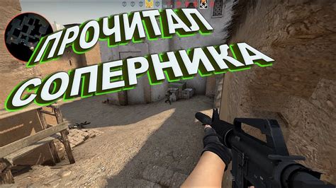 Counter Strike Global Offensive Gameplay K Qhd X