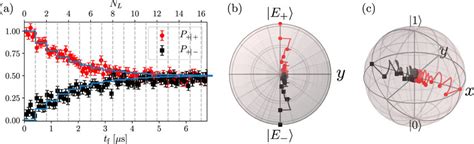 Spin Evolution Under A Driven Dissipative Map With A Reservoir At