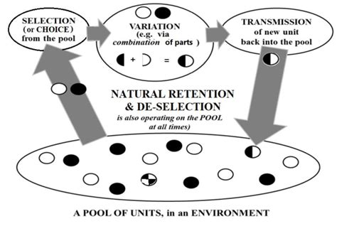 The Selection Variation Transmission SVT Evolutionary Algorithm