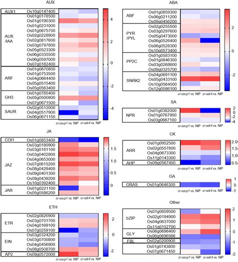 Heatmap Of Degs Expression In Hormone Signal Transduction Pathways Download Scientific Diagram