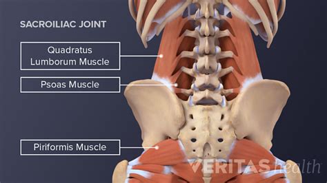 Sacroiliac Joint Ligaments And Muscles