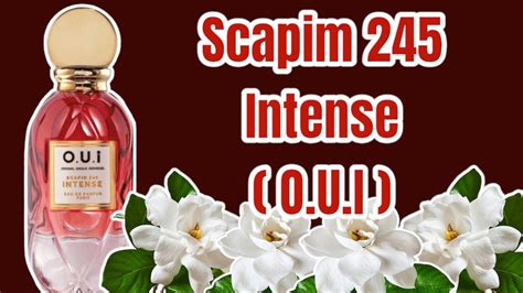 Perfume Scapim Intense O U I Resenha Youtube