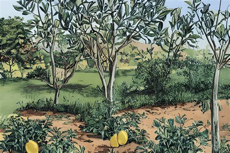 Vintage Lemon Trees Garden Graphic · Creative Fabrica