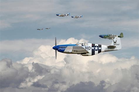 P51 Mustang - Blue Noses - 352nd Fg Digital Art by Pat Speirs