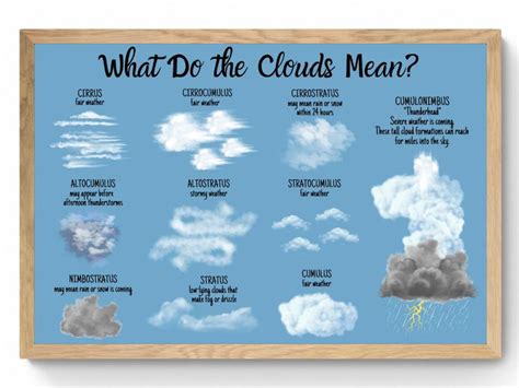 Cloud Types Science Id Poster Weather Prediction Meteorology Stem Spring Summer Educational