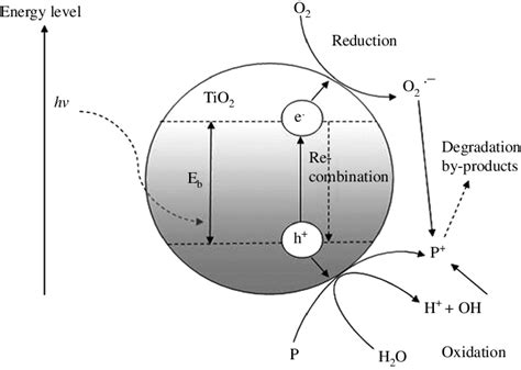 Mechanism of photocatalysis. | Download Scientific Diagram