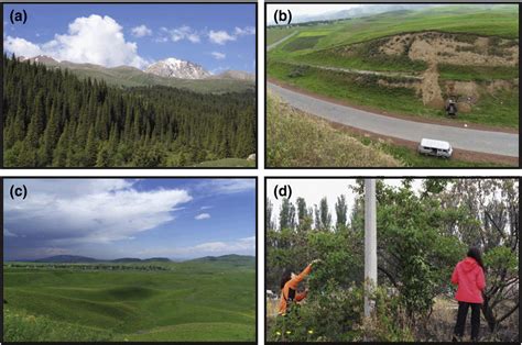 Vegetation Types In The Northern Tien Shan A Coniferous Forests In