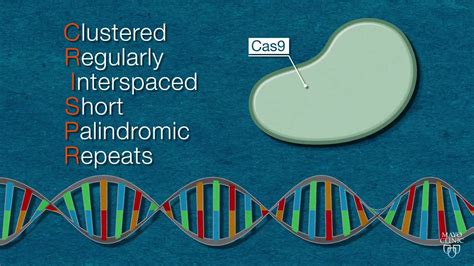 什么是基因编辑技术crispr Cas9？一分钟极简介绍。哔哩哔哩bilibili