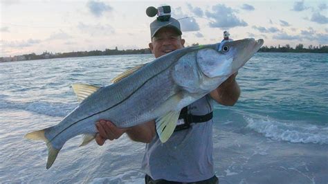 Catching Huge Snook On The Beach With Jigs And Spooltek Lures Youtube