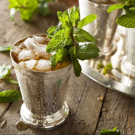 Classic Kentucky Derby Mint Julep Recipe | Besto Blog