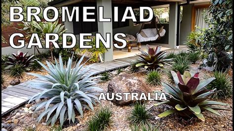 Bromeliad Gardens Australia Youtube