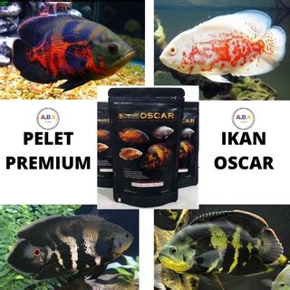 Jual Pelet Pakan Makanan Ikan Premium Oscar Tiger Albino Batik Paris