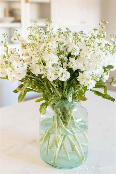 How to Make a Stock Flower Arrangement | Julie Blanner