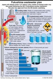 JAPAN: Fukushima disaster timeline (1) infographic