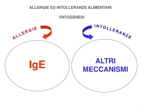 PPT ALLERGIE ED INTOLLERANZE ALIMENTARI PowerPoint Presentation Free