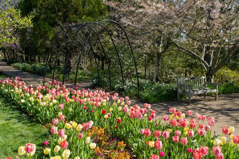 Garden Enthusiasts Cheekwood Estate And Gardens