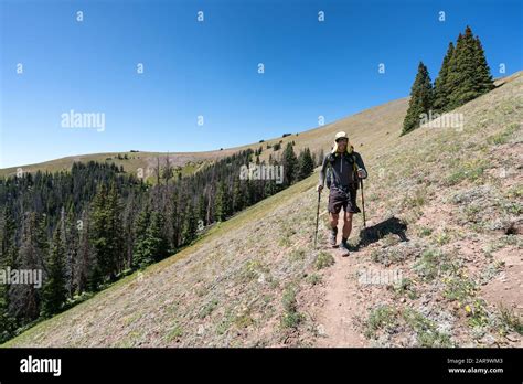 Hiking On The Continental Divide Trail In Colorado USA Stock Photo Alamy