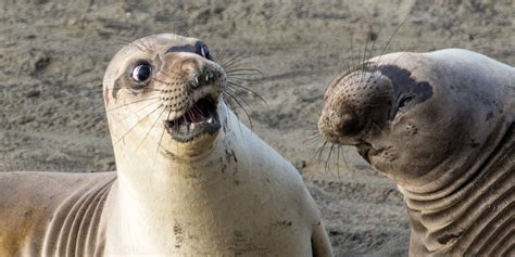 40 Hysterical Winners From This Years Comedy Wildlife Photo Awards