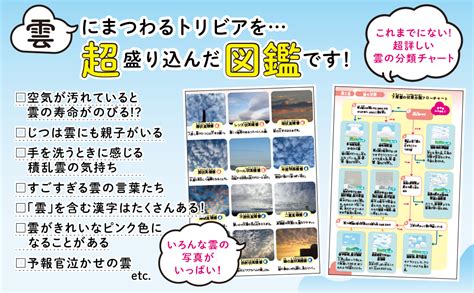 すごすぎる天気の図鑑 雲の超図鑑 荒木 健太郎 本 通販 Amazon