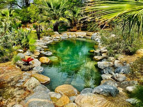 BUBBLING WELLS HISTORIC HOT SPRING RANCH UPDATED Specialty B B