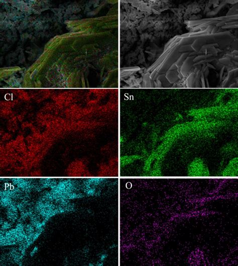 Element Mapping Of Sn Pb Solder Surface After Corrosion Test At