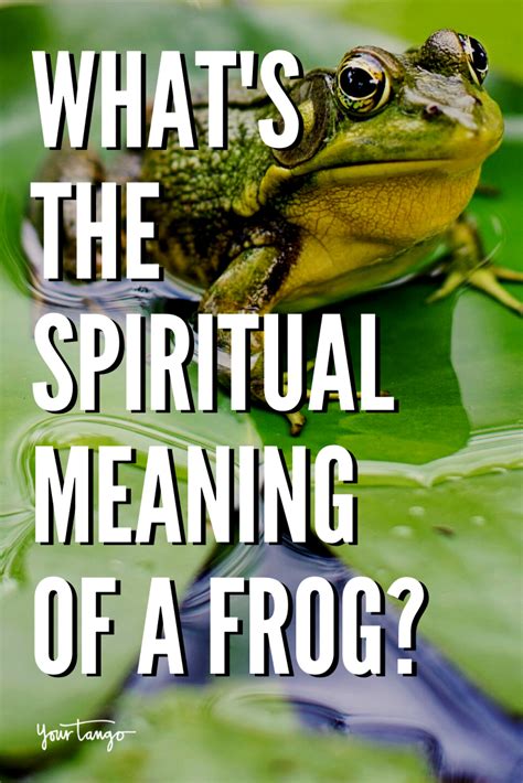 Discover the Symbolic Significance of Frogs in Spirituality