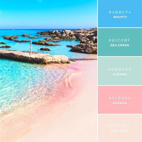 20 Palet Warna Unik Dan Mengesankan Untuk Inspirasi Anda Canva