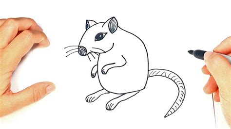 Cute Gerbil Drawing