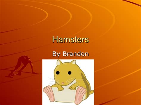 Hamsters Ppt