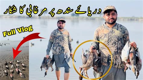 Duck Hunting In Pakistan Murghabi Ka Shikar Czns K Sath Darya Par