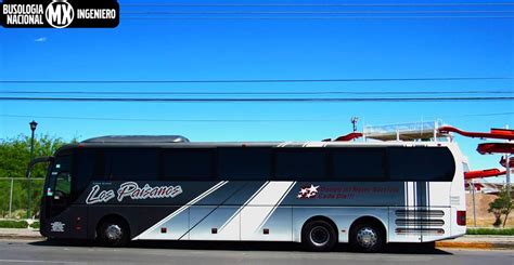 Dr Samuel Banda AUTOBUSES LOS PAISANOS