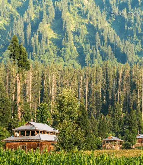 Neelum Valley Destination