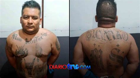 Cae En Manos De La Justicia Alias “guanaco” Peligroso Pandillero Que Se Escondía