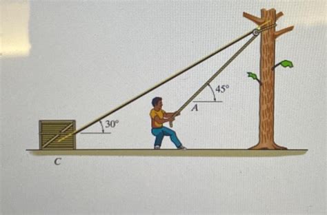 Solved In Figure The Man Has A Mass Of Kg And The Chegg