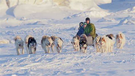 Canada les plus beaux endroits pour sinitier au traîneau à chiens