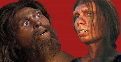 Disfigured Bones Reveal Neanderthals Getting it on with Family Members ...