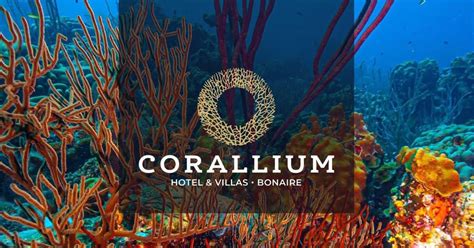 Ontdek Het Paradijs Introductie Corallium Hotel Villas Bonaire