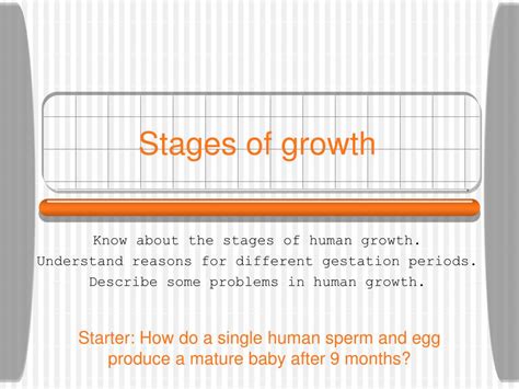 Ppt Stages Of Growth Powerpoint Presentation Free Download Id5412632