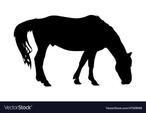 Ranch silhouette Royalty Free Vector Image - VectorStock