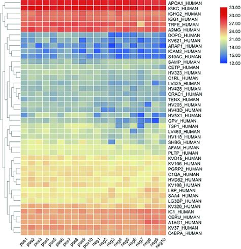 Clustering Heat Map Of All Proteins Download Scientific Diagram